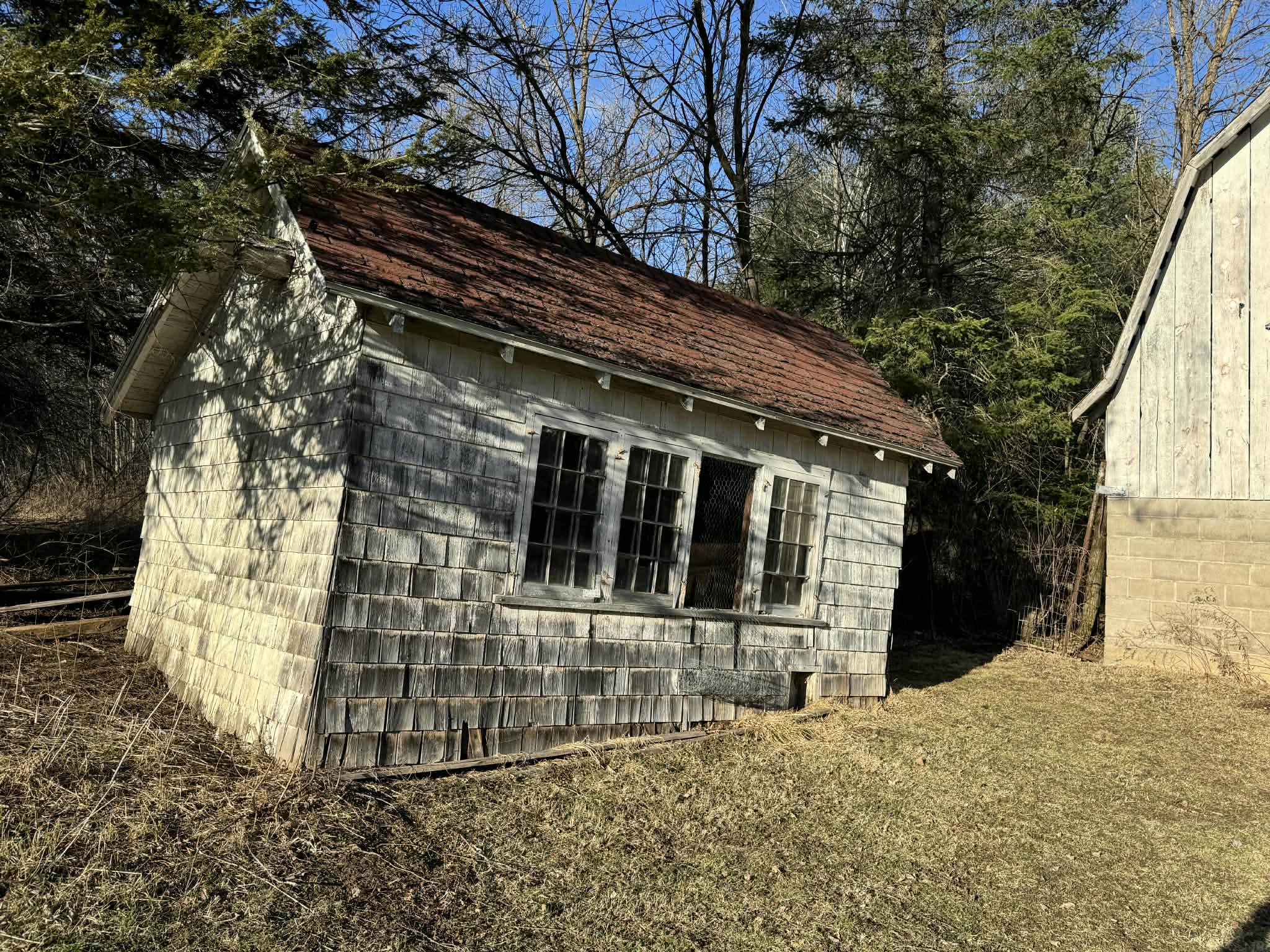 Before - Transformation 3