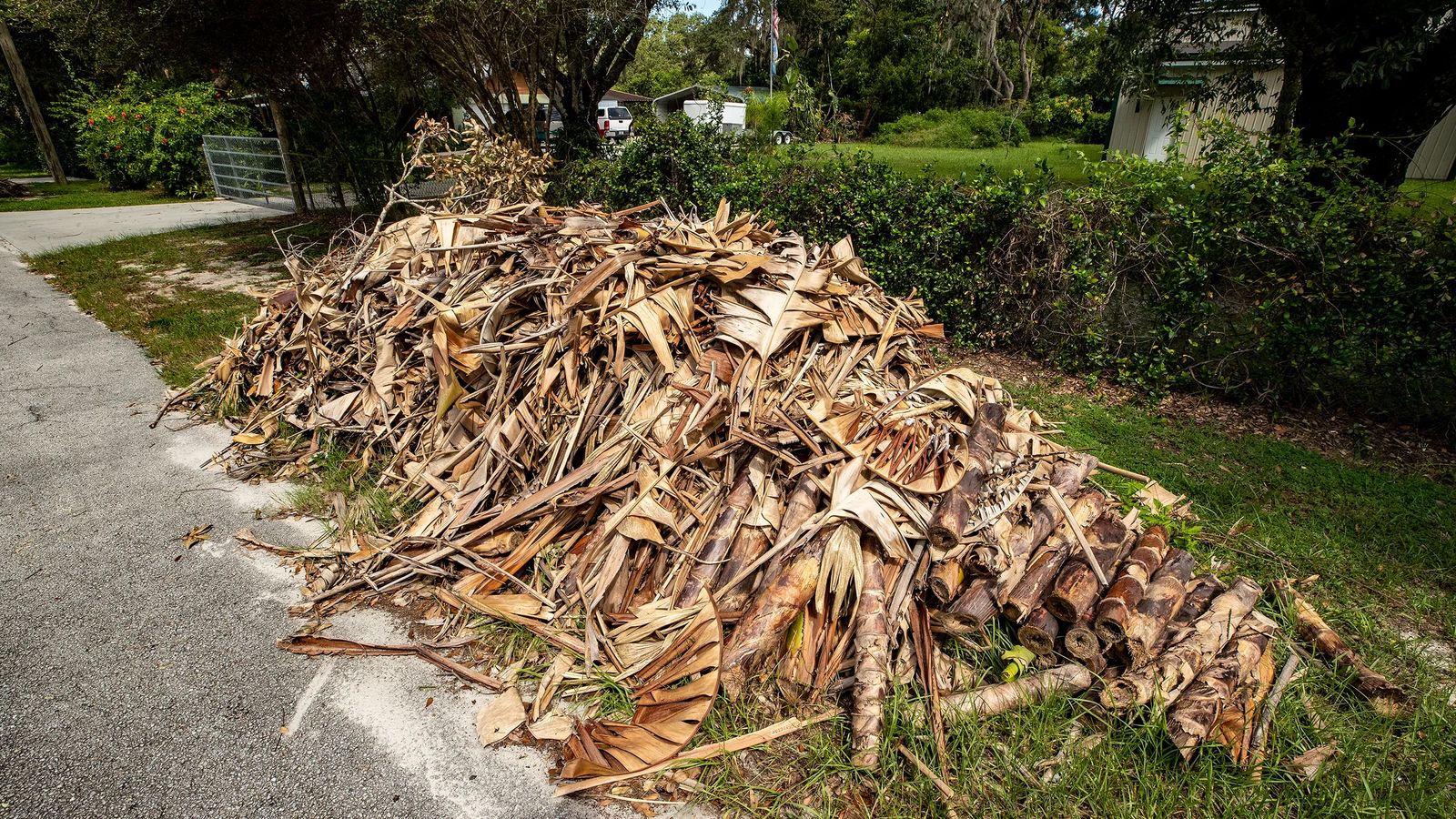 Yard Debris Removal - Chippewa Valley Junk Removal